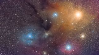 The Rho Ophiuchus complex