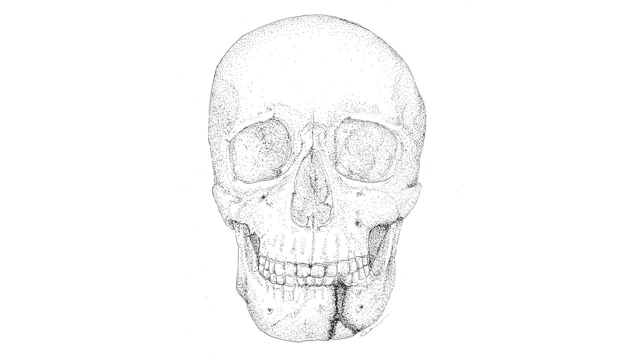 An illustration of the Byzantine warrior's skull.