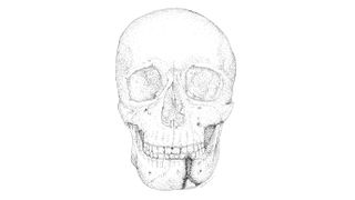 An illustration of the Byzantine warrior's skull.