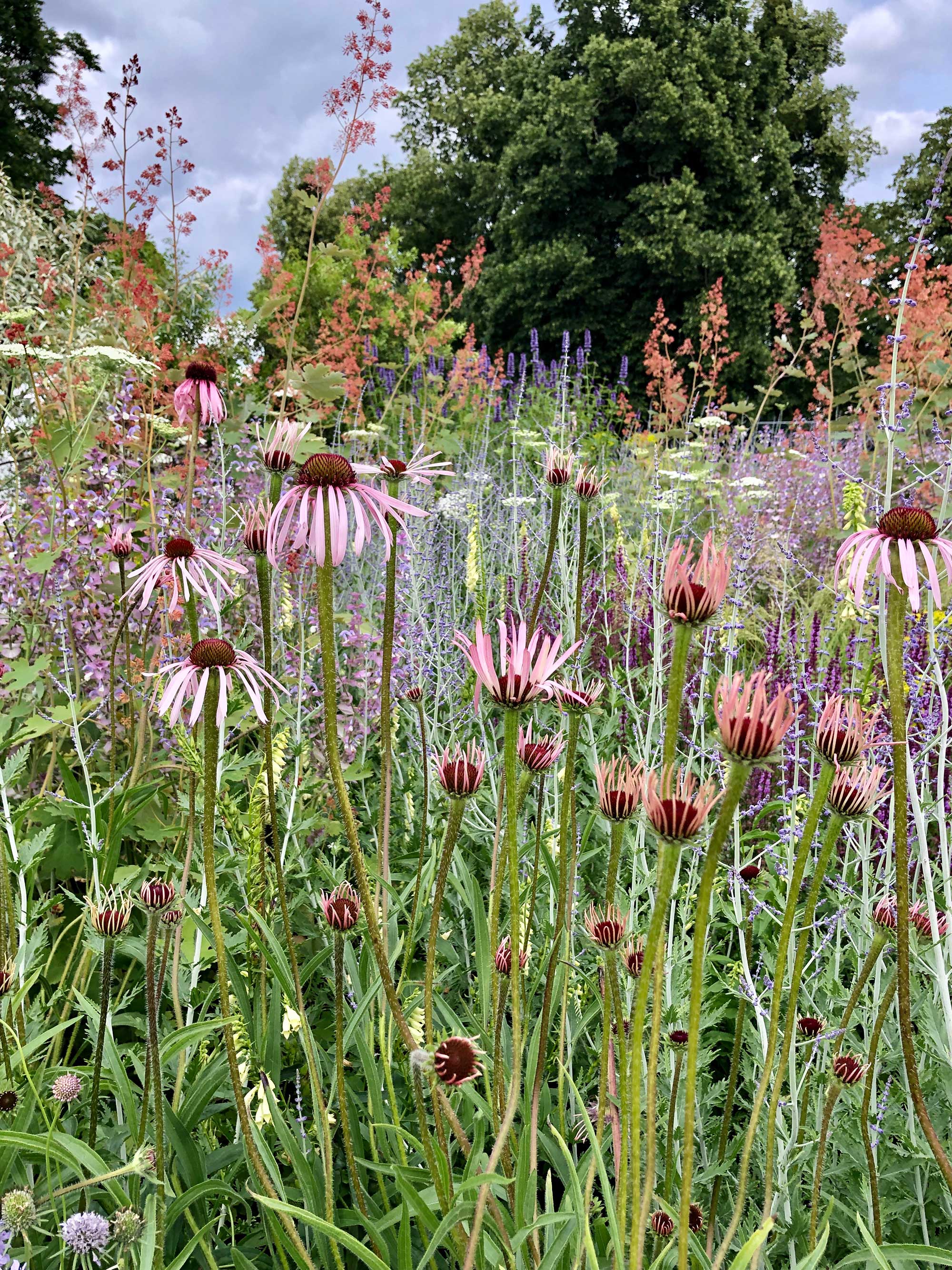 Tom Stuart-smith garden at RHS Hampton Court Garden festival 2021