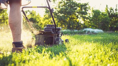 Lawn mowing tips