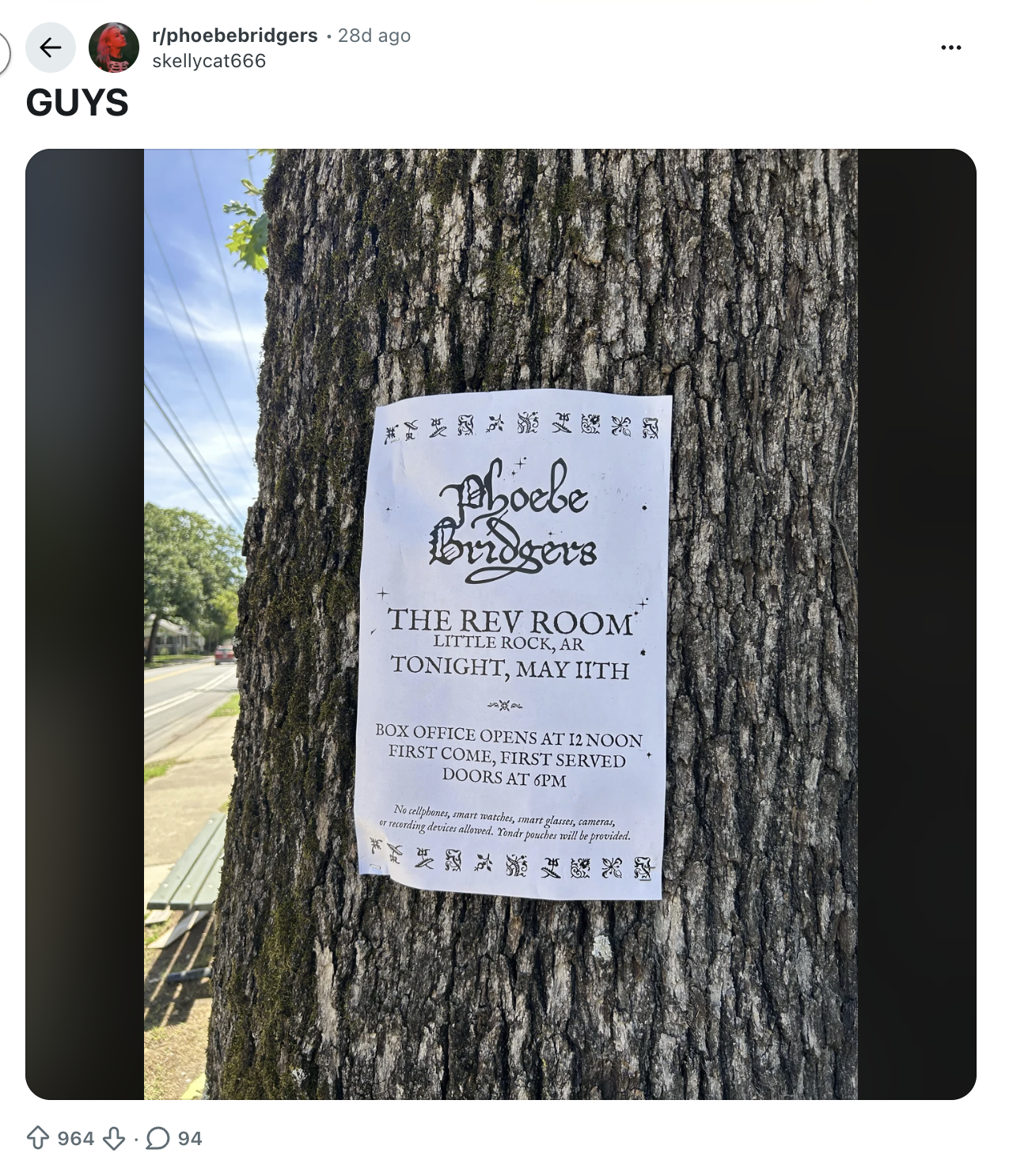 Phoebe Bridgers flyer