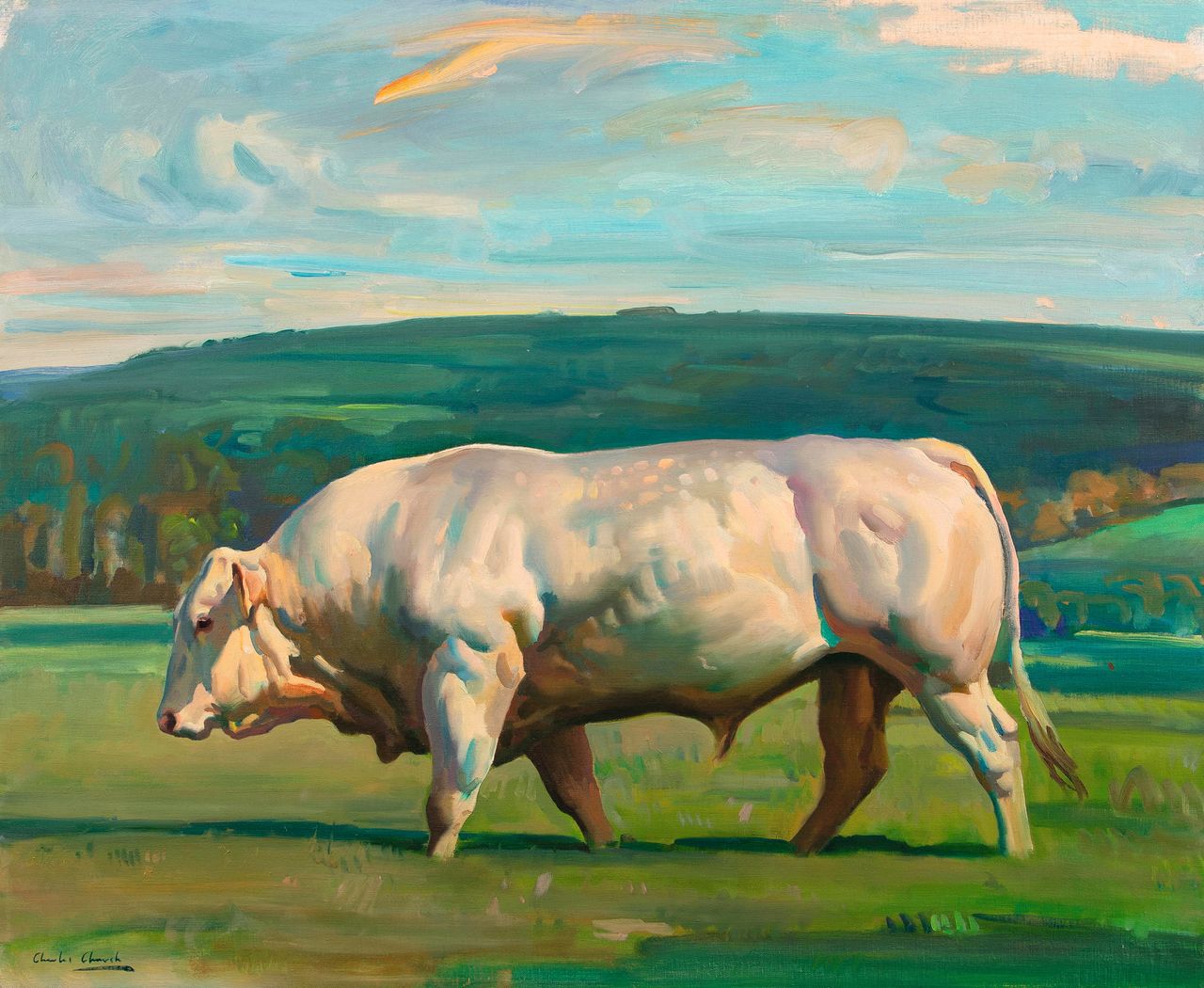 Charolais Bull under Bulbarrow, 2022, oil on canvas, 28in by 34in, by Charles Church (1970), private collection.