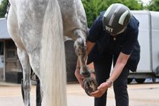 HAH00.lb_BellEquinestockshoot.BELL_EQUINE_STOCK_SHOOT_ok_kc_helmet_BEX_PATTENDEN_FO20240514_8094-1.jpg