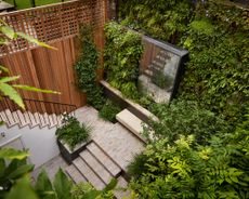 kensington courtyard garden design from above with steps