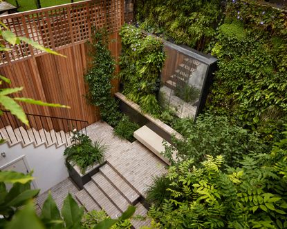 kensington courtyard garden design from above with steps