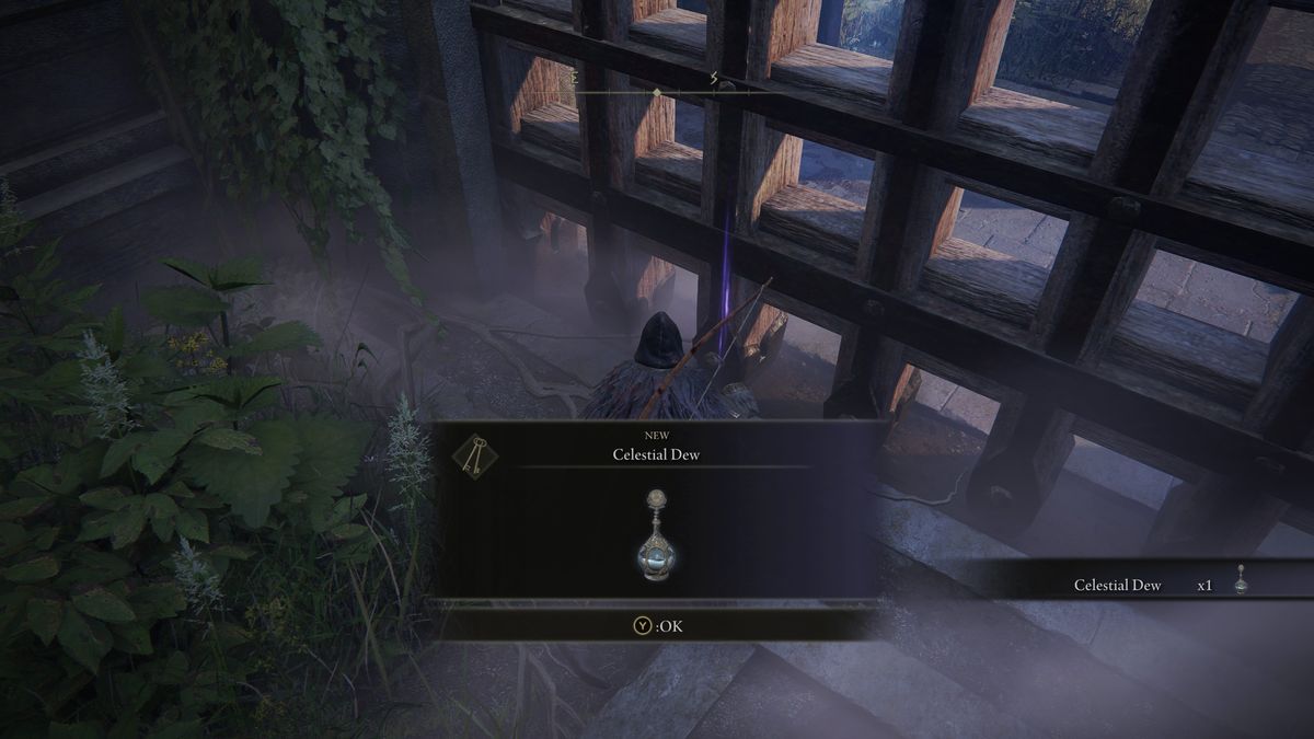 Elden Ring pope turtle