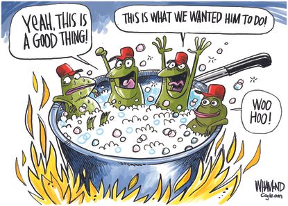 Political cartoon