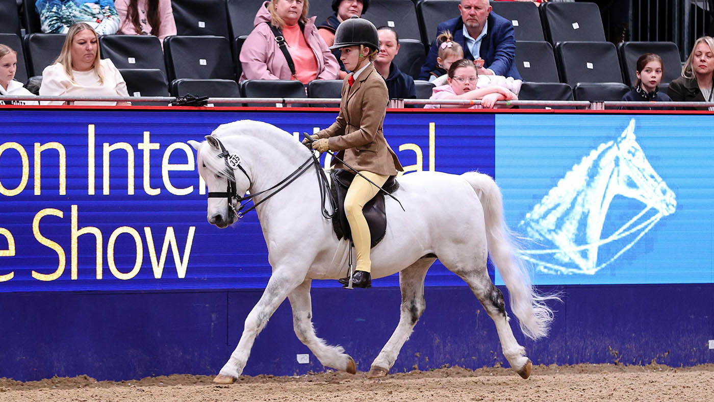 HorseNo_335_LIHS_PN24_182166