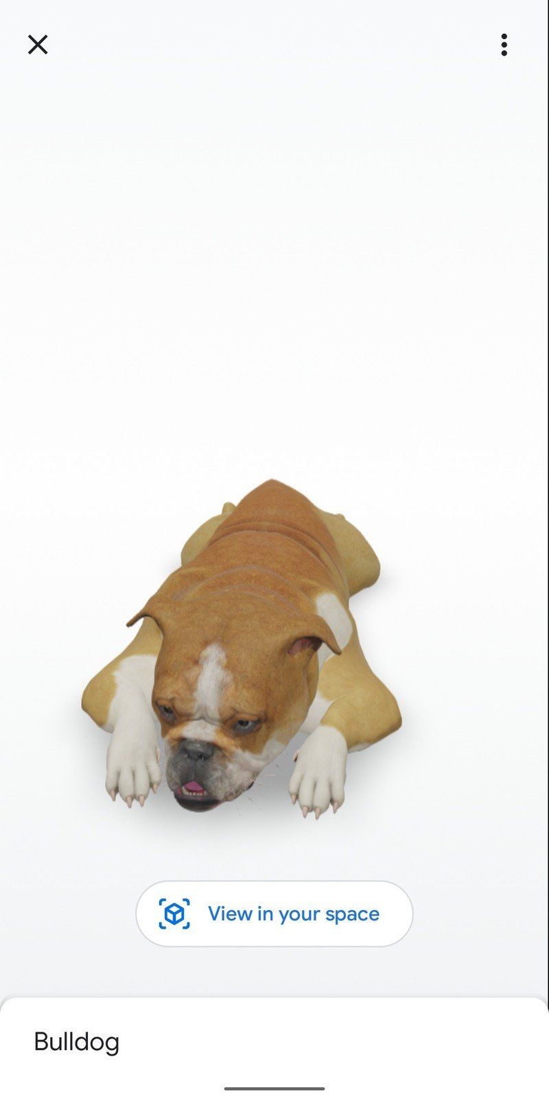 Bulldog