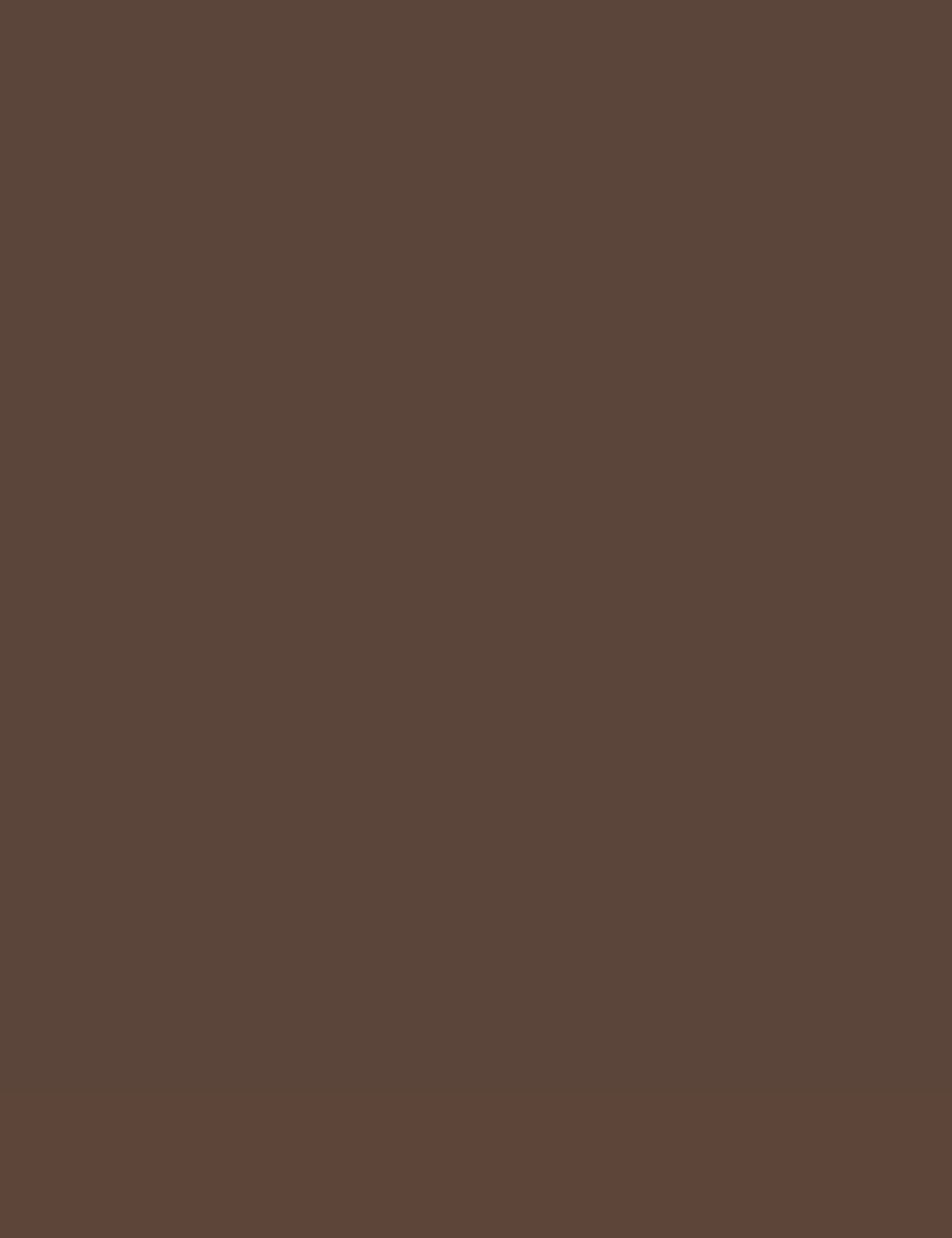 dark brown paint swatch