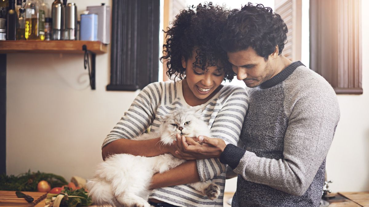 Shot of a couple with their cat at home