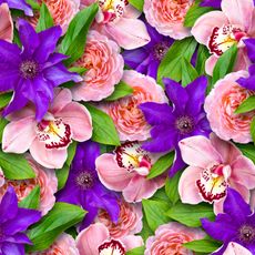 pink rose and purple clematis flowers