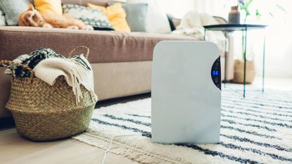 how to clean your air purifier, air purifier in living room near sofa