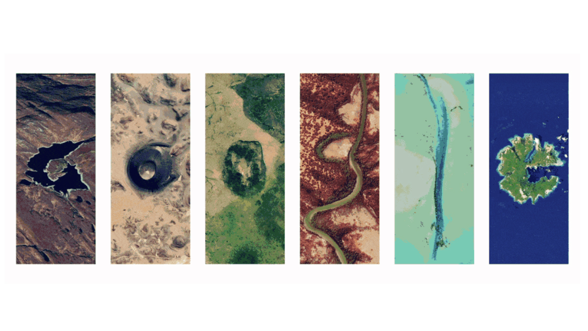 Google Earth Day 2026 doodle make out of aerial photography