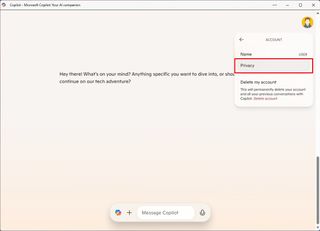 Copilot privacy settings