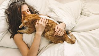 Ginger cat lying on its owner's chest in bed