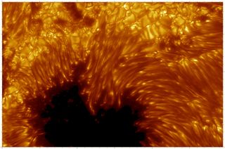 The Swedish 1-m Solar Telescope on La Palma recorded this part of the largest sunspot in Active Region 10030, on July 15, 2002. Phase-Diversity Technique post-processing has rendered this the highest-resolution solar image ever. Marks around the edge of