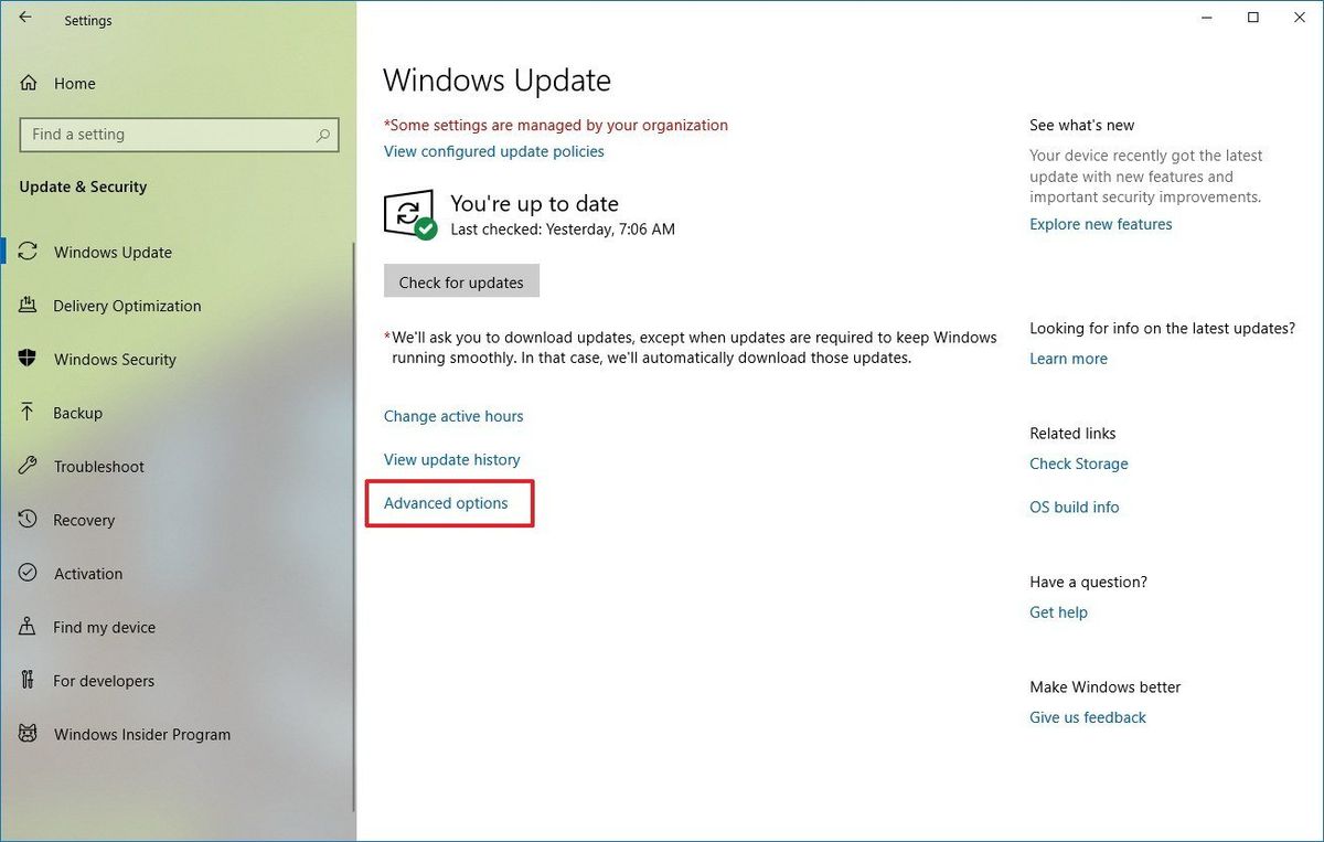 How to delay the Windows 10 May 2019 Update without losing quality ...