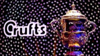 The "Crufts" Best in Show trophy in the foreground with a starry backdrop featuring the "Crufts" 2024 logo behind