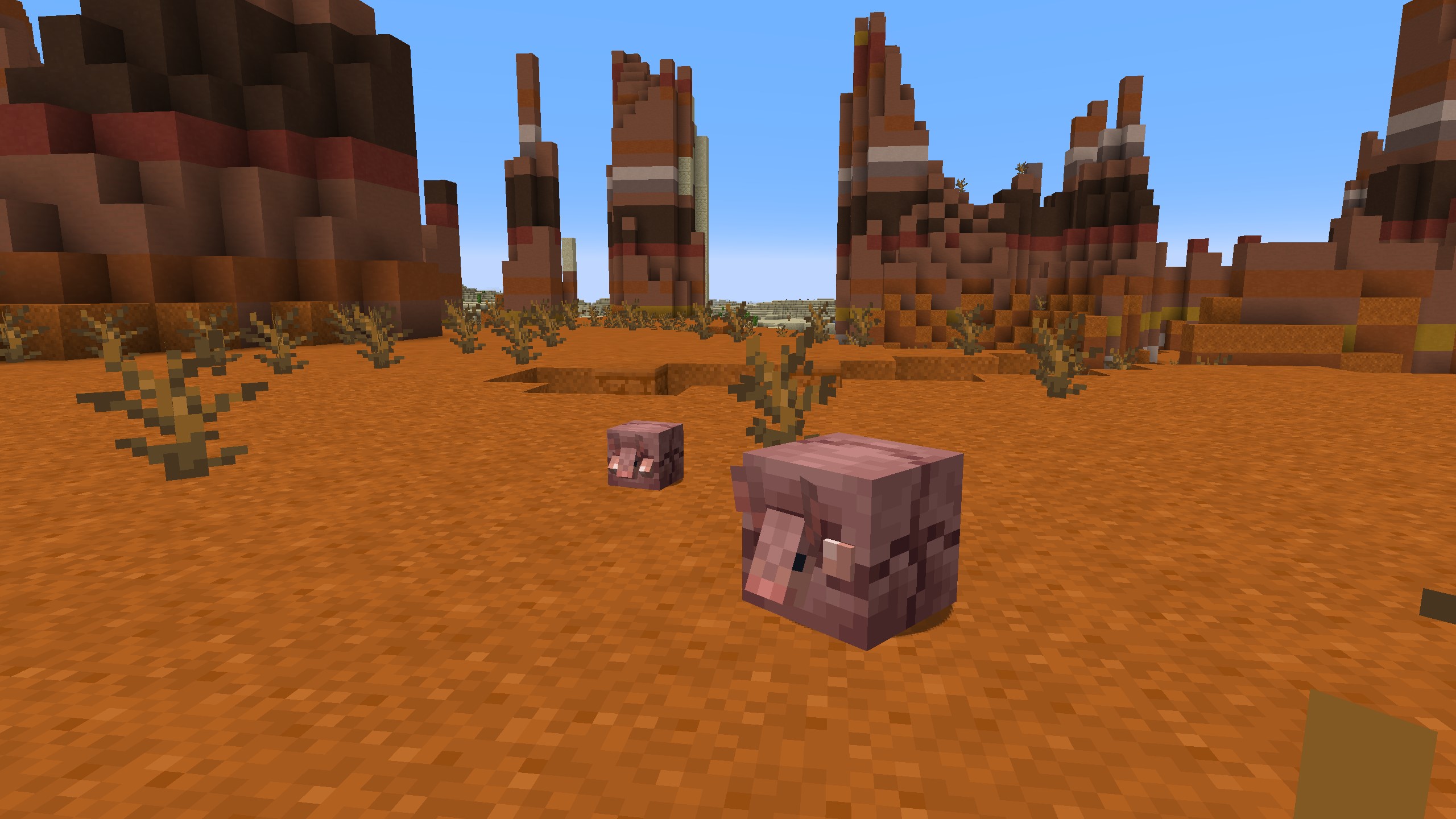 Minecraft - two armadillos rolled into balls peek their faces out to check for danger