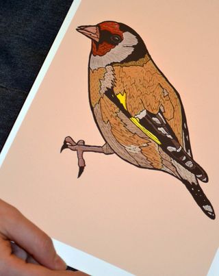 Adopted Design - Goldfinch