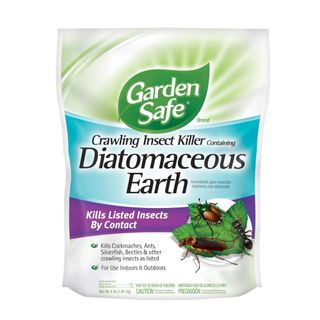 Bag of Diatomaceous Earth