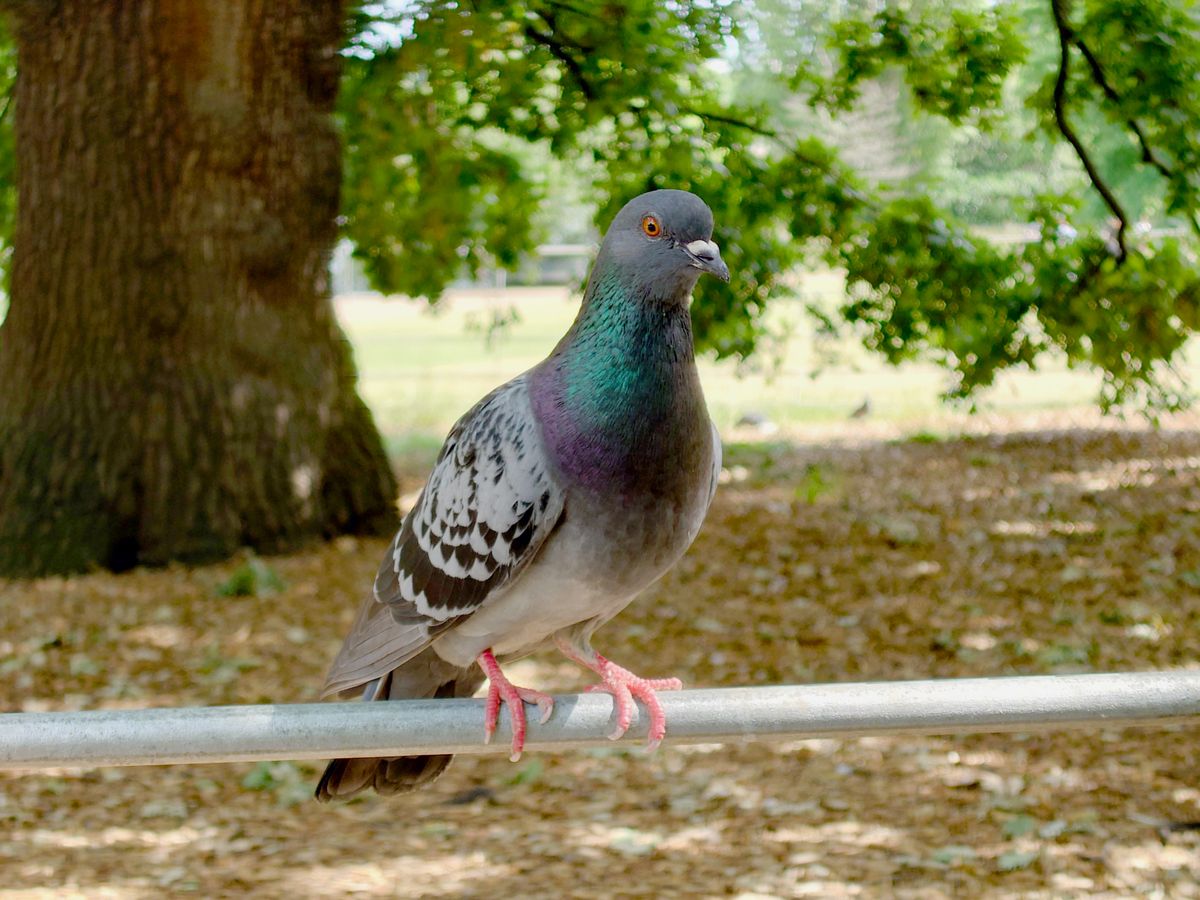 A Sony Xperia 1 IV camera sample that's been edited