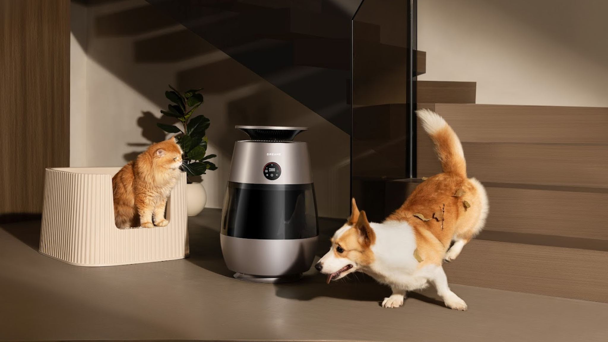 Dreame AP10 Pet Purifier