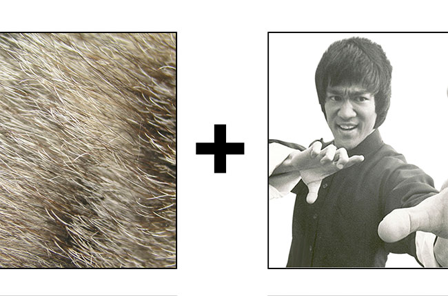 guess the wine name, wine quiz