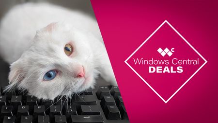 A white cat laying its face o a keyboard. A graphic to the right reads, "Windows Central deals."