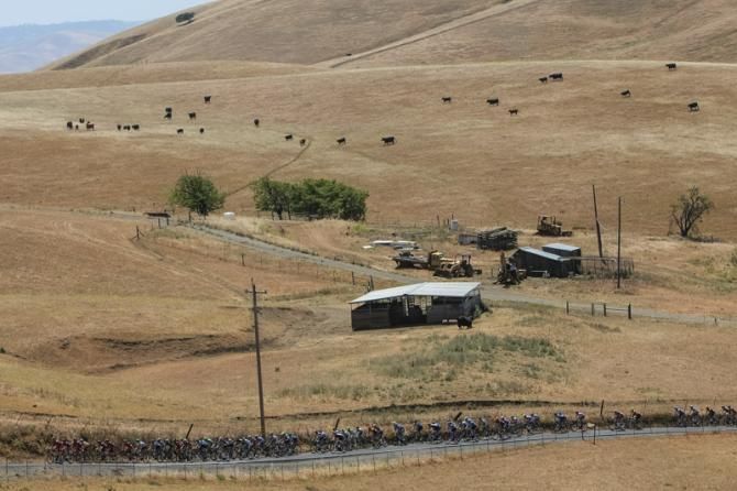 The peloton passes through farmland after leaving Livermore.