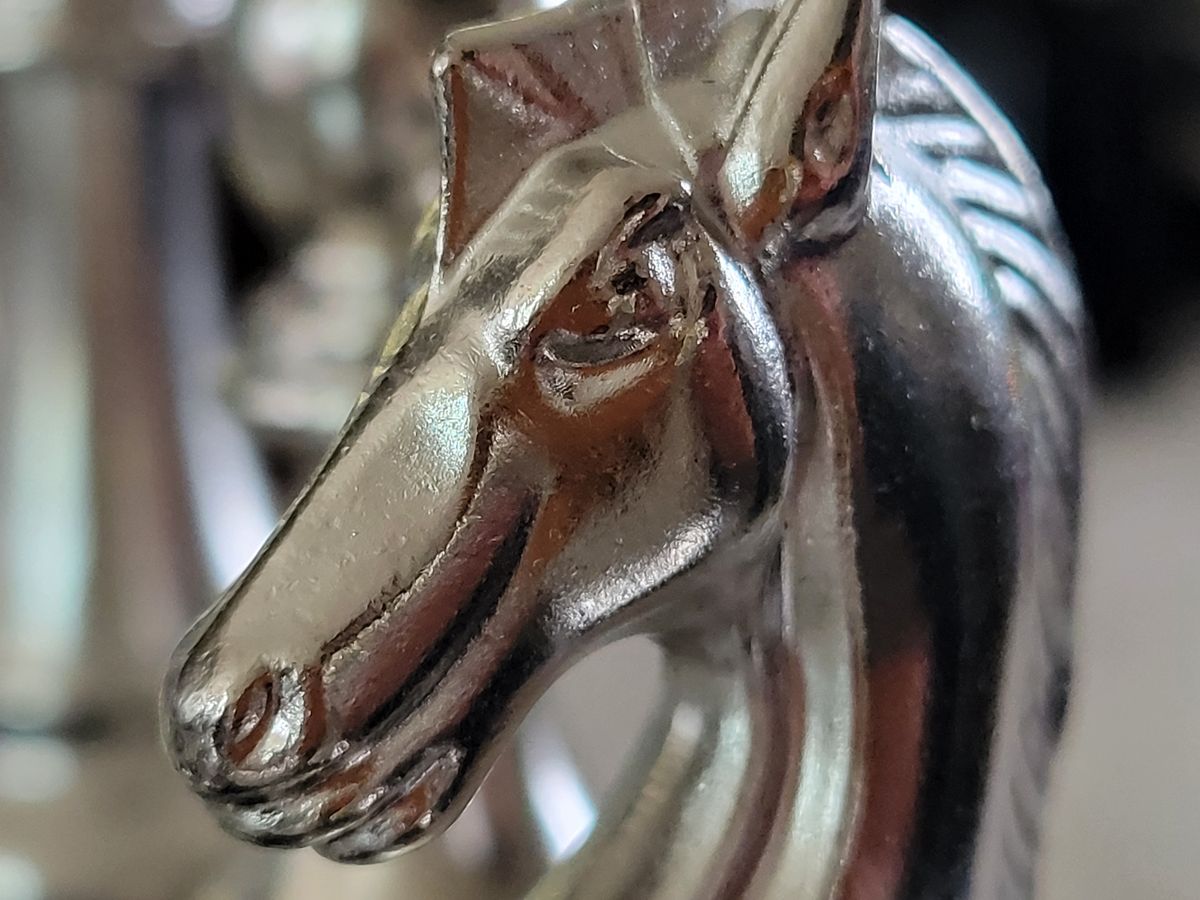 Telephoto shot of a silver horse
