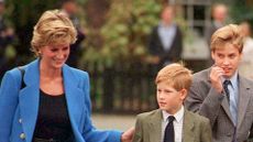 princess diana with william and harry - wardrobe item that made Princess Diana feel like a 'normal mother'