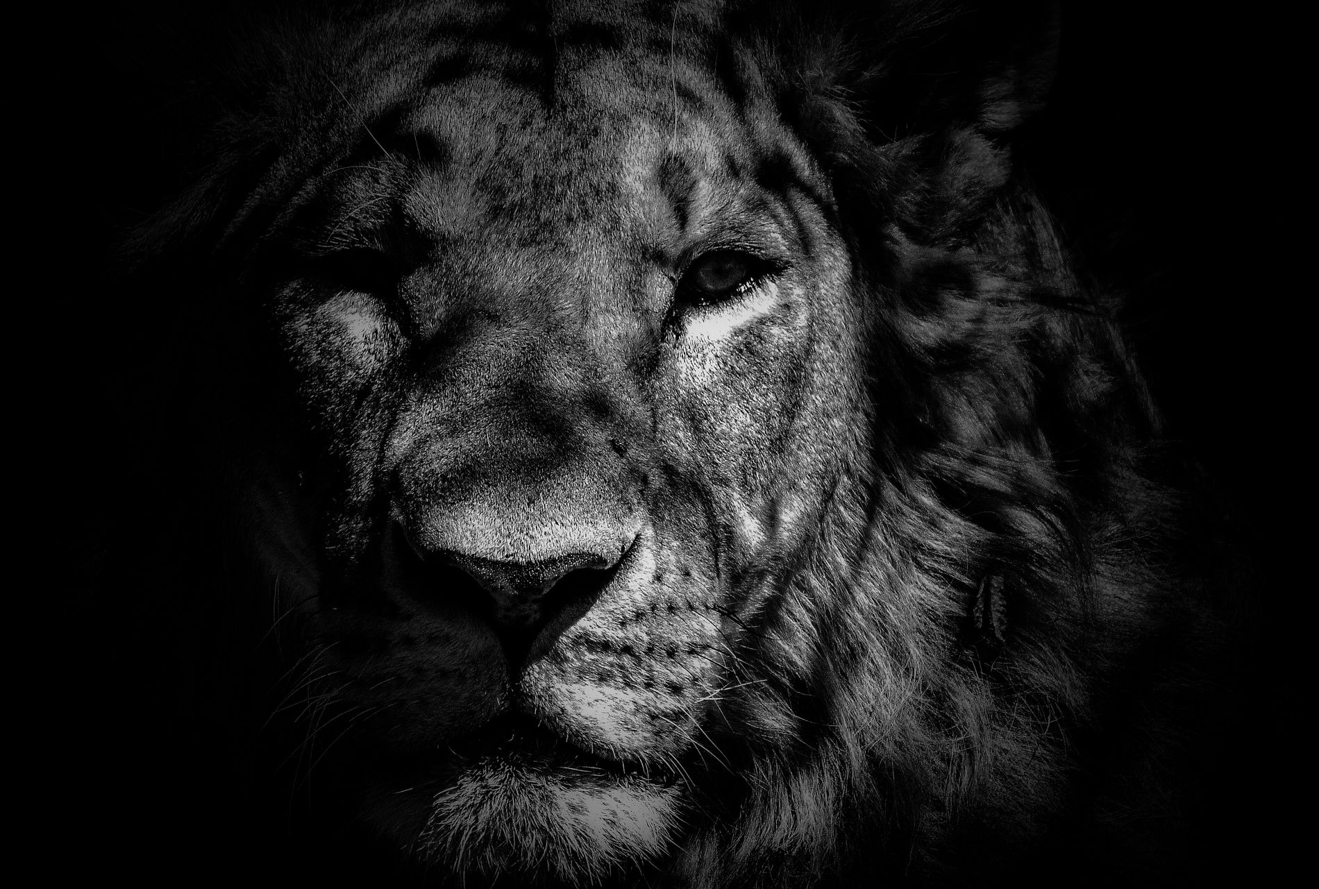 GuruShots - Monochrome Moments Jan 26