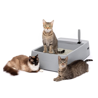 PetSafe Multi-Cat Litter Box, one of the best cat litter boxes