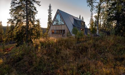 exterior of timber pitched roof cabin in the woods