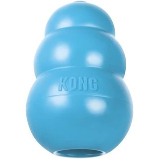 Kong Puppy teething toy