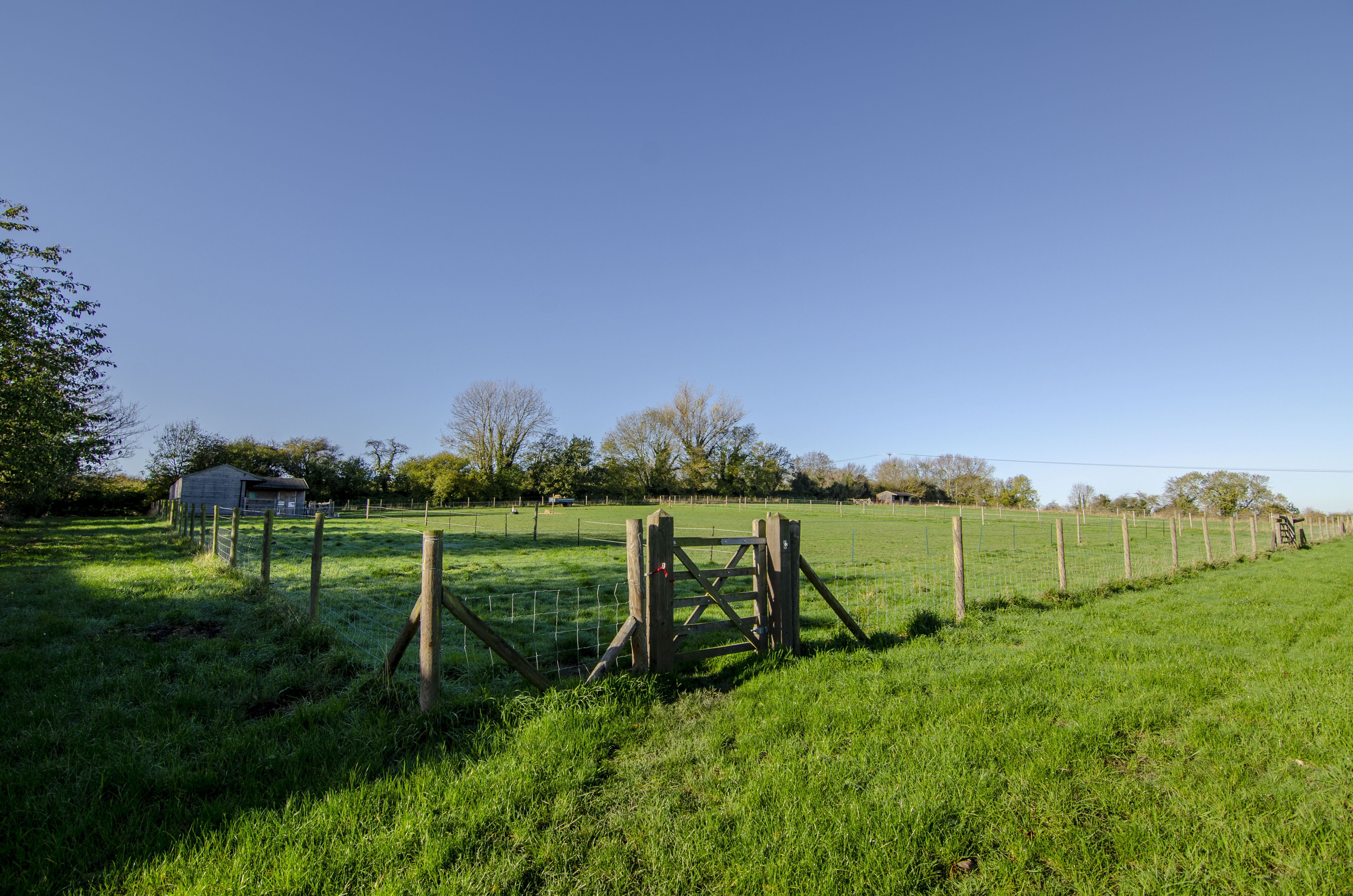 NJM_4882-HDR.jpg