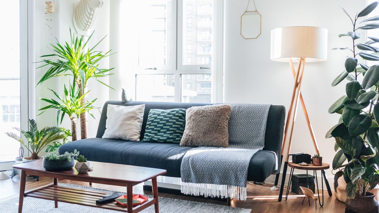 white, modern living room in home with gray sofa, house plants, and a large window behind