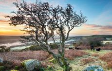 A frosty March sunrise at Helman Tor, Cornwall