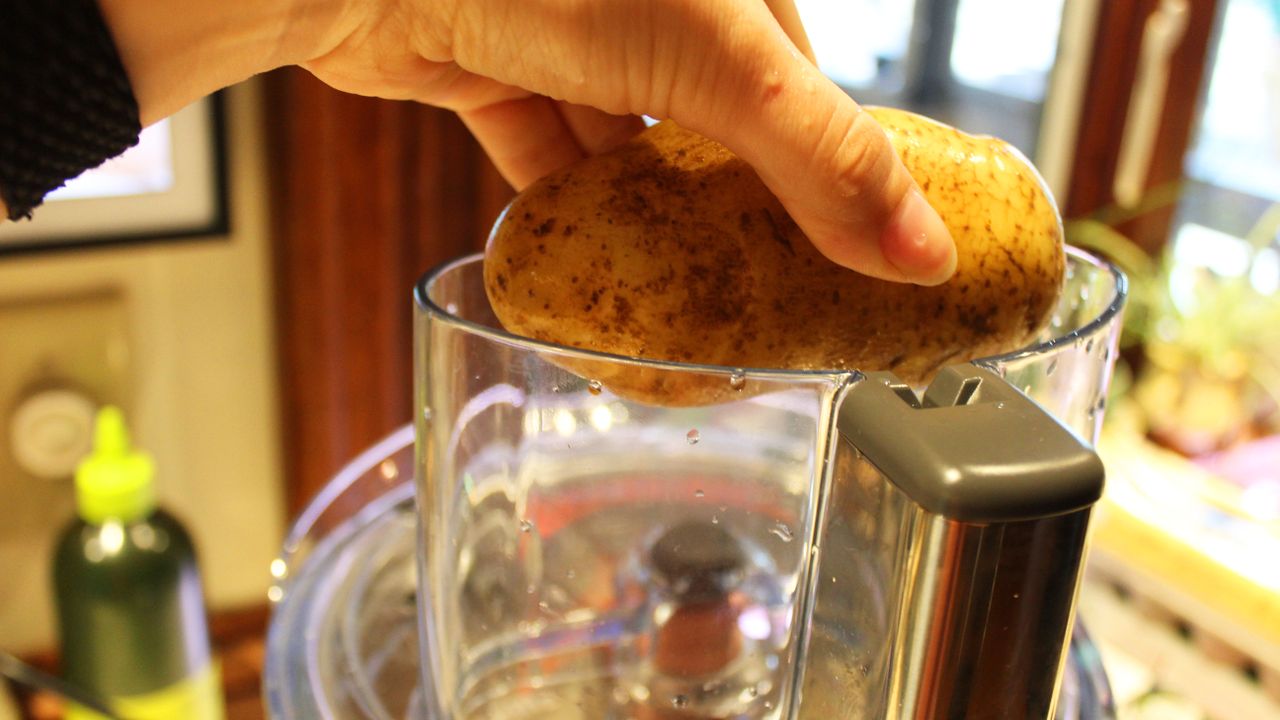 Breville Paradice 16 Food Processor making fries
