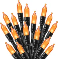 Brightown Store Orange LED Outdoor Halloween Lights