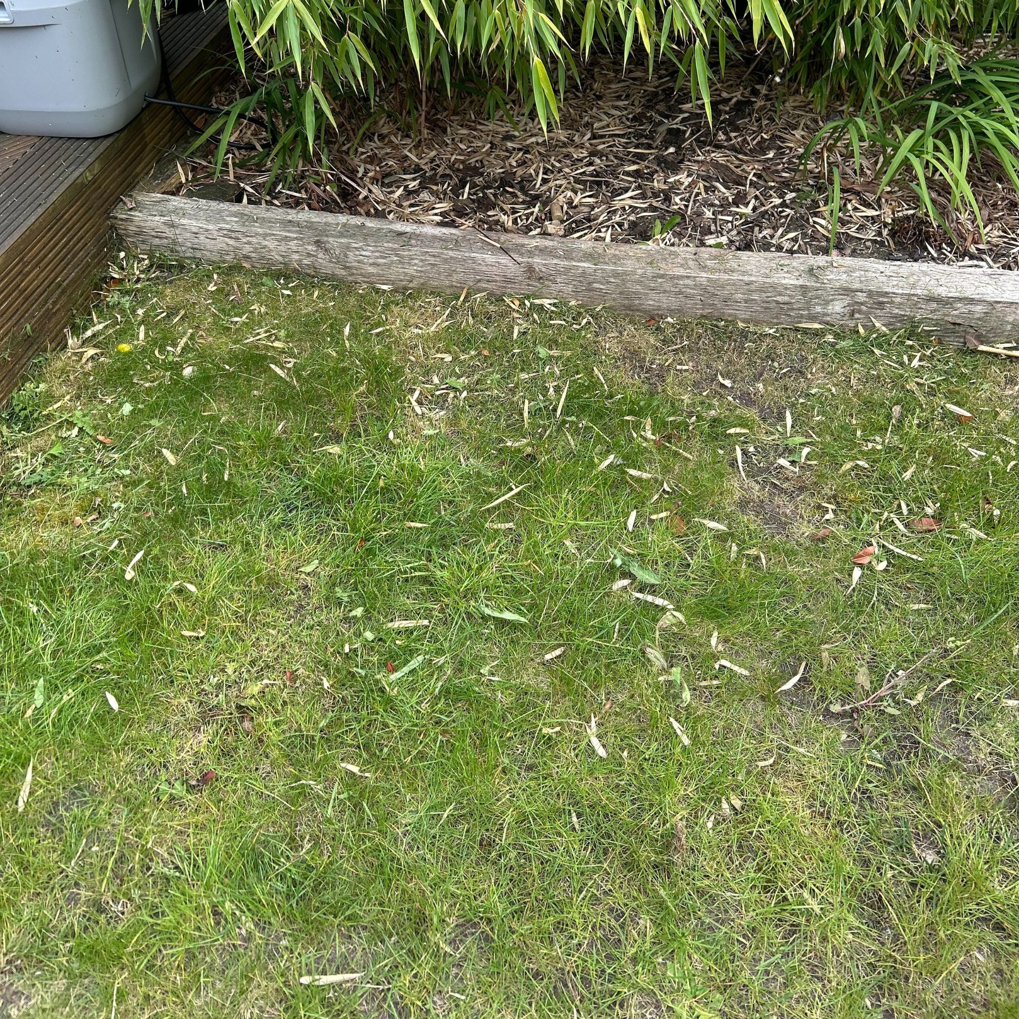 VonHaus G-Series Cordless Grass Trimmer - after trimming the grass
