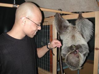 Biologist John Nyakatura and the two-toed sloth Julius.
