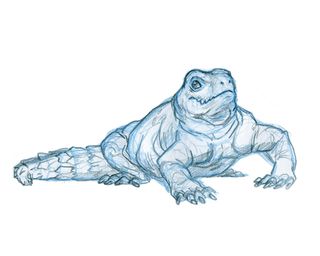 How to create a fantasy beast - lizard sketch