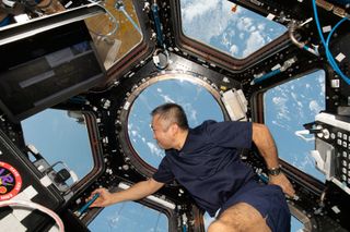 Japanese astronaut Koichi Wakata gazes out the Cupola window with the Earth below.