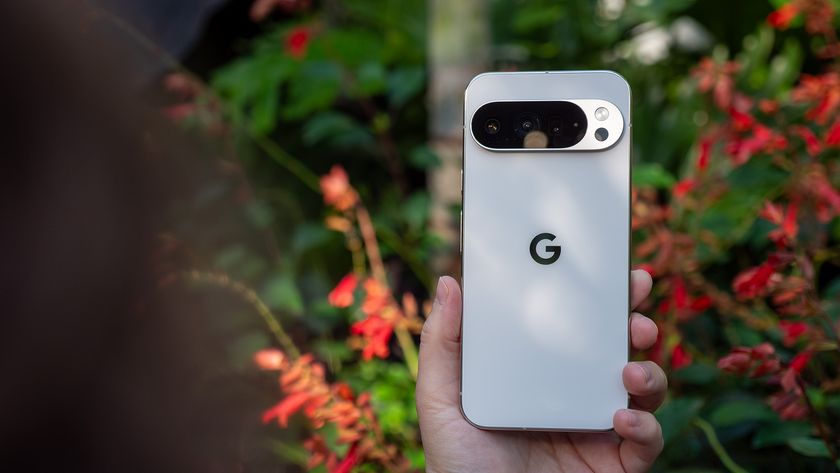 Holding a white Google Pixel 10 Pro XL in front of red flowers