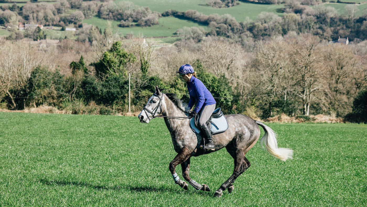 Rider and horse cantering in big open field