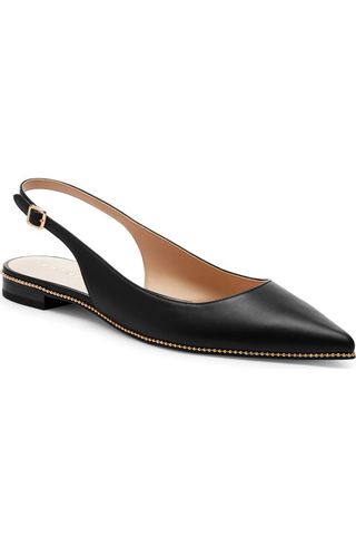 Claire Slingback Pointed Toe Skimmer Flat